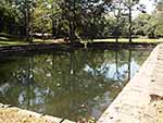 7.小池(女池）